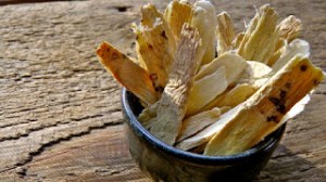 ASTRAGALUS